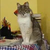 Отзыв от Кира Егорова